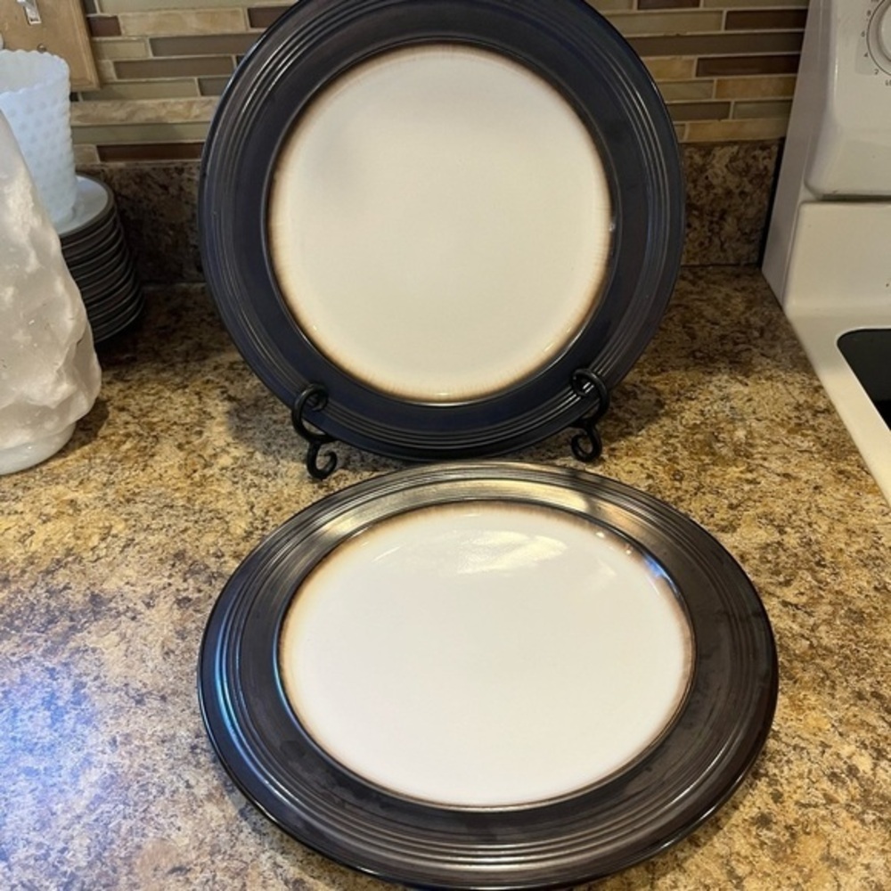 Food Network Braise Stoneware Dinner Plates 11” Set of 2